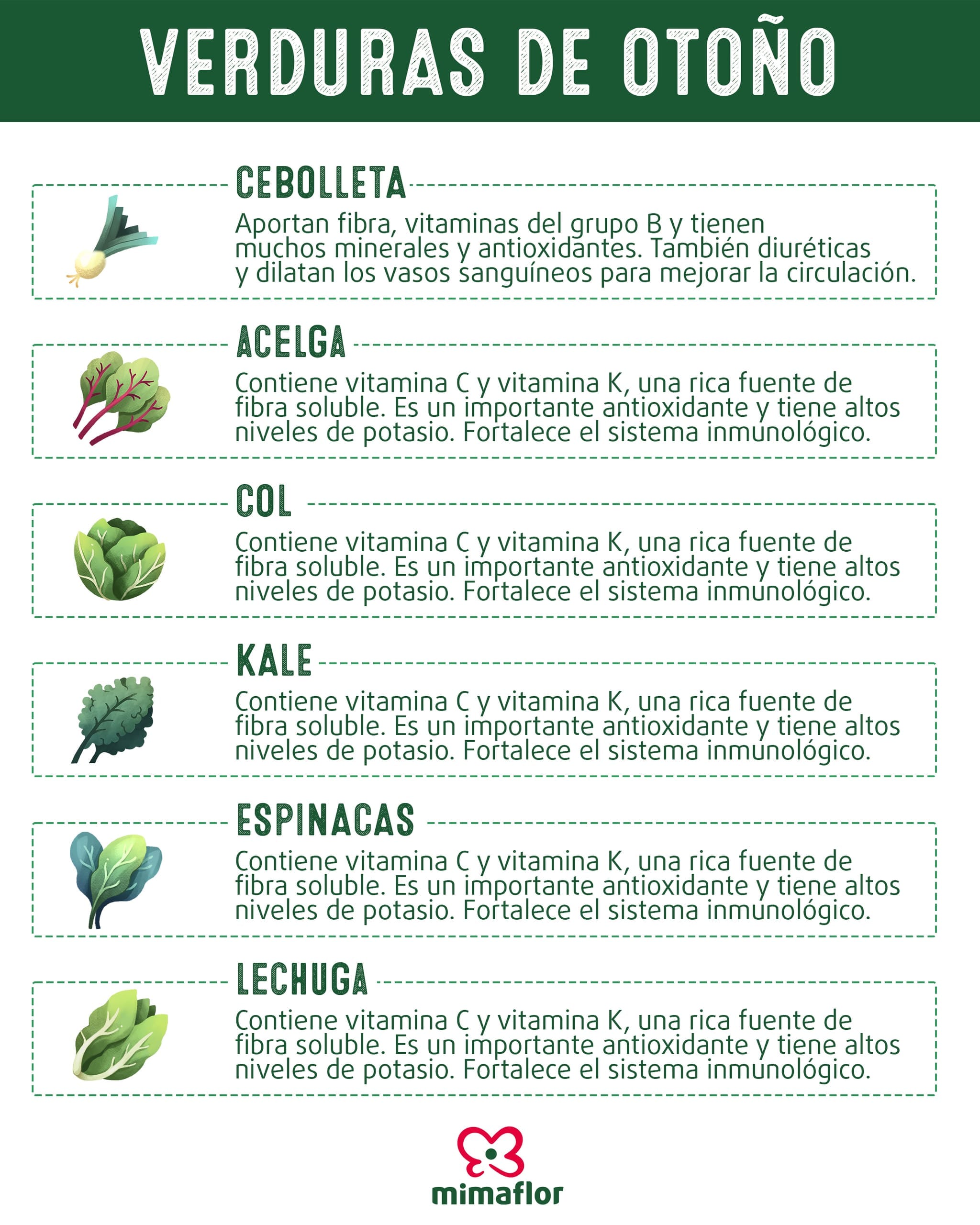 Mimaflor y Primaflor · Gestión digital y vídeo: PLANTILLA VERDURAS OTONO (1)
