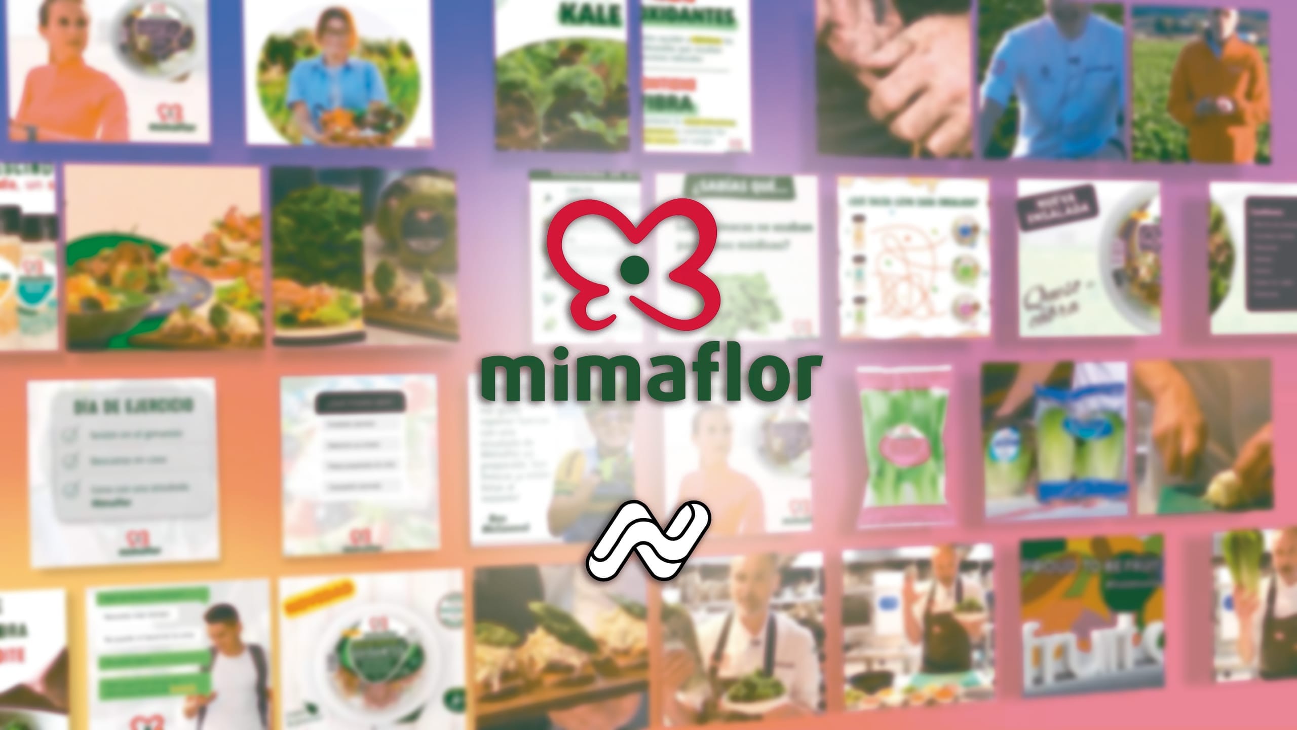 Mimaflor y Primaflor · Gestión digital y vídeo: miniatura (1)