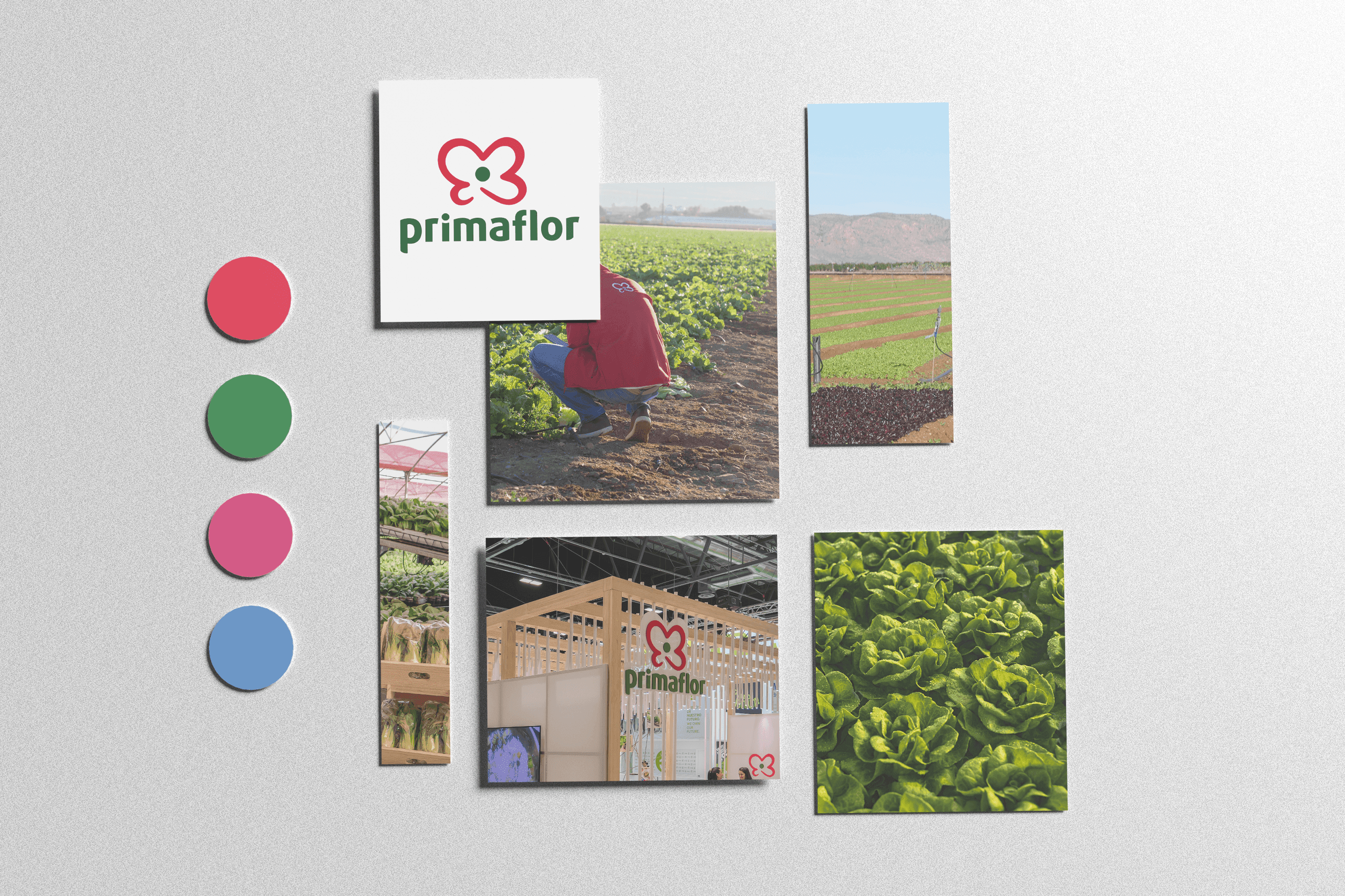 Mimaflor y Primaflor · Gestión digital y vídeo: Moodboard primaflor
