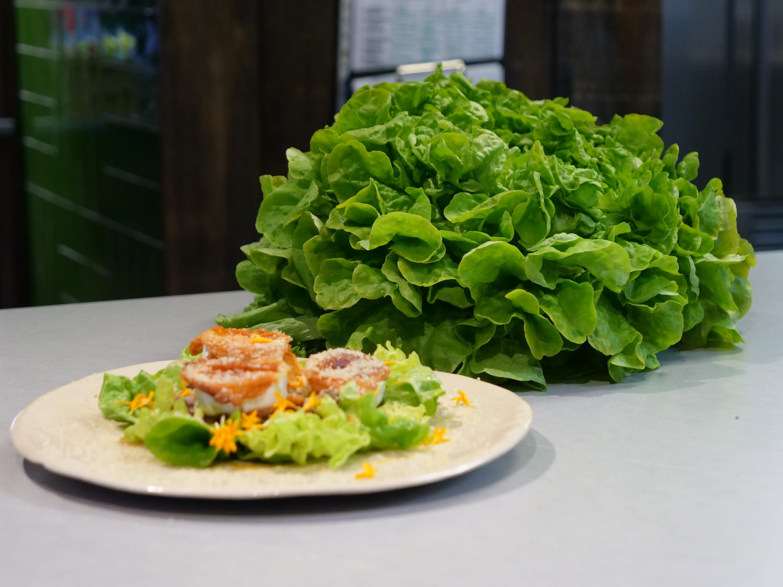 Mimaflor y Primaflor · Gestión digital y vídeo: P1399755