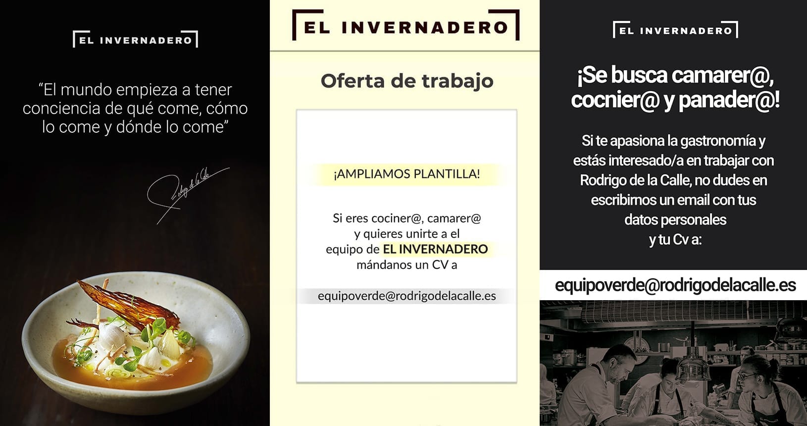 El Invernadero by Rodrigo de la Calle: el invernadero 15